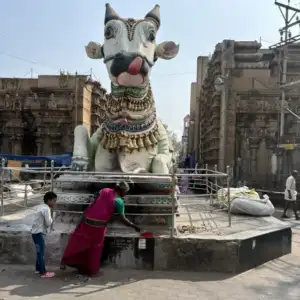 Madurai Stadt Bull
