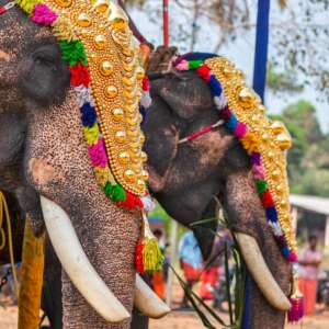 Individual India Travel
