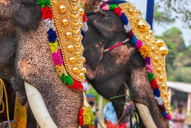 Individual India Travel