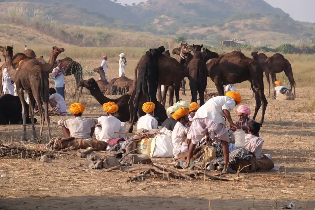 Pushkar Kameln Markt, sitzen die Männer mit Turban