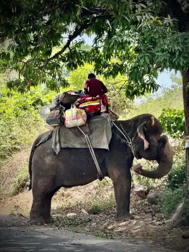 Fotoreisen nach Indien mit IndienReiseleiter.de