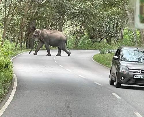 Abenteuer Südindien Rundreise mit Reiseleiter