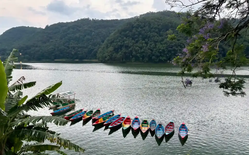 Phewa See Pokhra Nepal