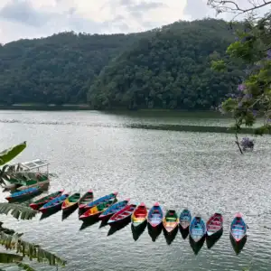 Phewa See Pokhra Nepal