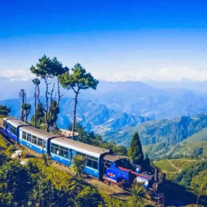 Darjeeling-Toy-Train