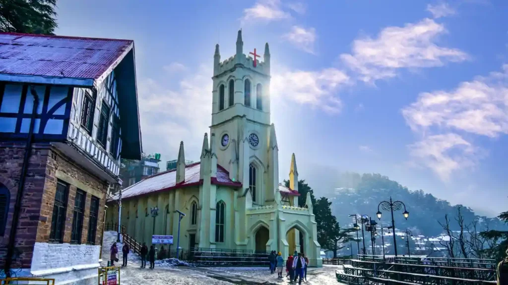 Shimla-Kirsche